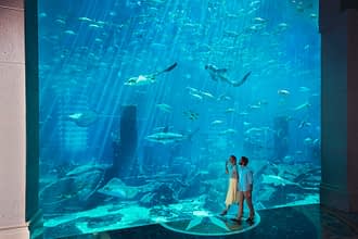 Vacay Moments Atlantis The Palm Hotel Oder Ein Eigenes Erlebnis